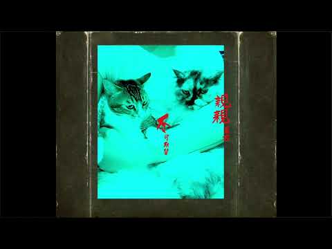 施春 C Chung - 不可取替親親某君(Lyrics)