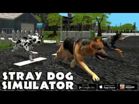 Stray Dog Simulator Video