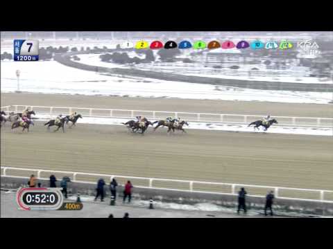Seoul Racecourse Jan 12, 2013 - Female Jockey Trifecta