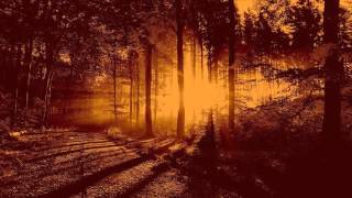 Adorned brood - Jenseits des Horizonts