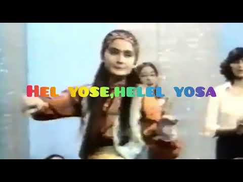 Jamal kudu_Persian Folk-Jamal Jamalo   - Easy lyrics video(Translation in description) 