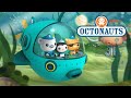 Disney Junior Australia Octonauts Now Bumper 2013