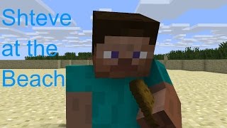 Shteve at the beach
