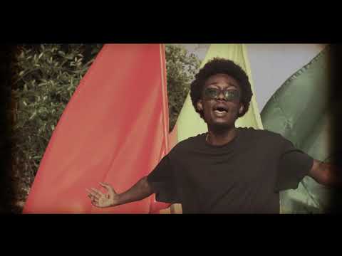 Phronesis - Evergreen (Official Video)