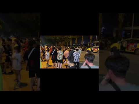 다낭 골든파인 펍 , da nang golden pine pup