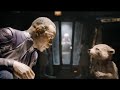 High Evolutionary Finds Out Rocket Is Smarter Than Him GOTG 3 1080p Scene