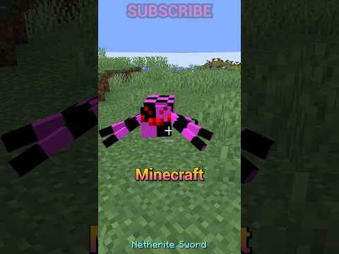 the WEIRDEST bug in minecraft is FIXABLE