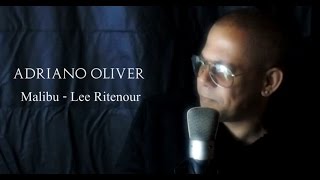 Malibu  - Lee Ritenour  (Cover by Adriano Oliver)