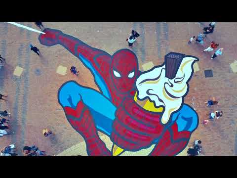 Sunny Bird PR video.