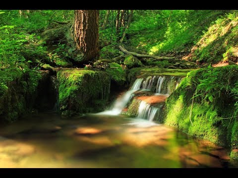 Süper İlahiler 6 Yeni ilahiler Muhteşem İlahiler Zikirli İlahiler 2020