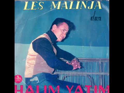 halim yatim & les malinja _ berpisah sementara (1967)