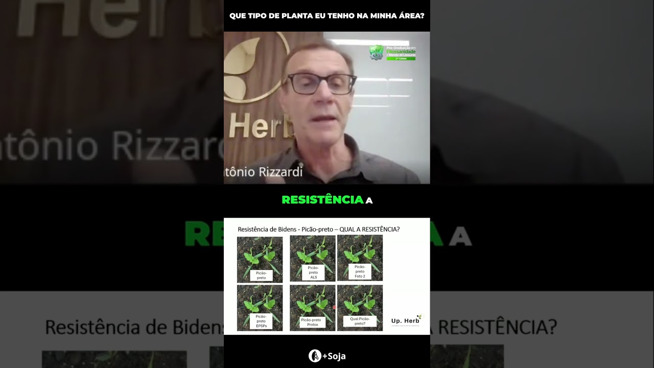 Qual planta daninha você quer?