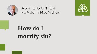 How do I mortify sin?