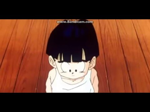 TFS: Chi-Chi's Christmas Present to Goku