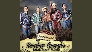 El Rey De Morelos Music Video