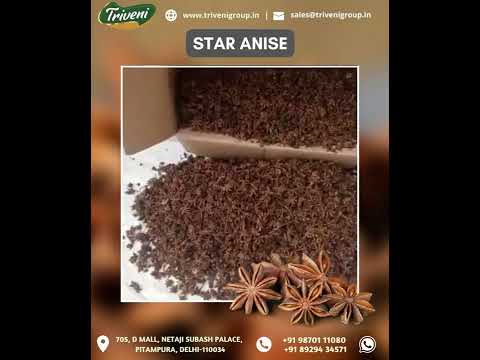 Star anise (badyan), packaging size: 10 kg