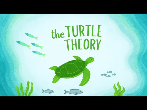 Why Slow Progress Beats Fast Success (The Turtle Theory)