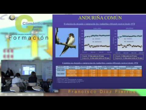 Vídeo: Cambio climático nos ecosistemas terrestres. Parte IV