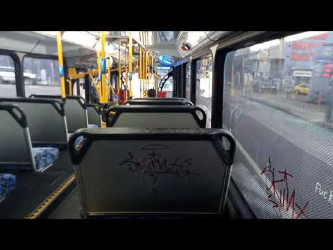 Transit Systems - 2801 - Scania K310UB/Bustech VST[Leichhardt](430 - Taronga Zoo)