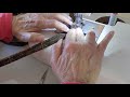 Pt 2 Making a jelly roll rug Sewing th Pt 2 Making a jelly roll rug Sewing th