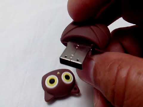 Pen Drive Personalizado 16 Gb Coruja 2