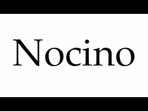 How to Pronounce Nocino