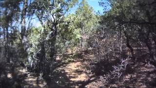 preview picture of video 'Cedro Peak - Rattlesnake (trail 5626)'