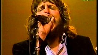 If You Think You're Hurting Me - The Marshall Tucker Band