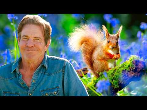 Dennis Quaid Presents: Yellowstone's Tiny Heroes