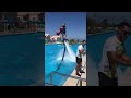Superman Takes Lady For A Water Ride ViralHog