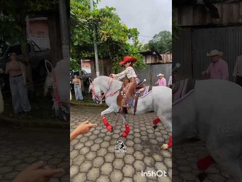 Calidad de amazonita, que lo trae, lo trae cabos✍️desde Villa Sandino Chontales hip de Damas👏👏