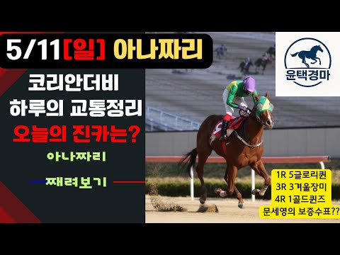 5/11 일요-윤택-경마 아나짜리 저배당과의 절연