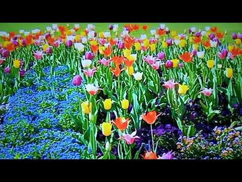 WHEN WE BEND OUR KNEES TO PRAY GOD BENDS HIS EAR TO LISTEN