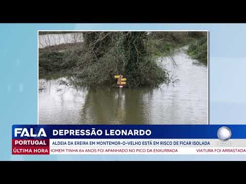 Leonardo's depression has already caused a lot of damage.