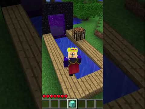 Minecraft Beta1.7.3 Portal Duplication Glitch #shorts