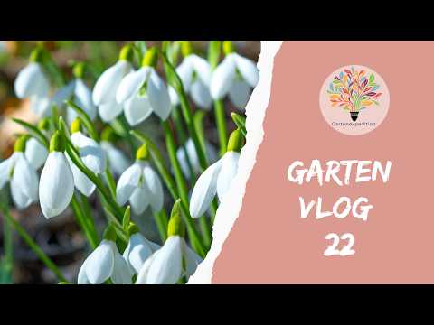 Das blüht jetzt! + Blumenzelt für die Kinder - Gartenvlog 22 - Gartenexpedition #naturgarten