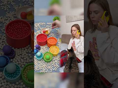 Котика предали и выкинули на улицу?!🥺#котики