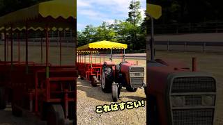 ❛ これ見たことある？…またへんなの見つけた（笑）  ❜