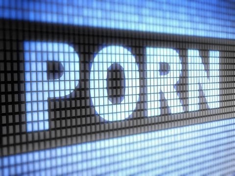 南はどんなポルノを愛しているのか？ (What Kind of Porn Does the South Love?)