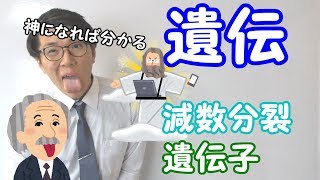 【中学理科】2-4 遺伝～神さまの気持ちで理解する～【中３理科】