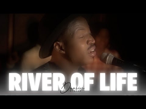RIVER OF LIFE BY DUNSIN OYEKAN