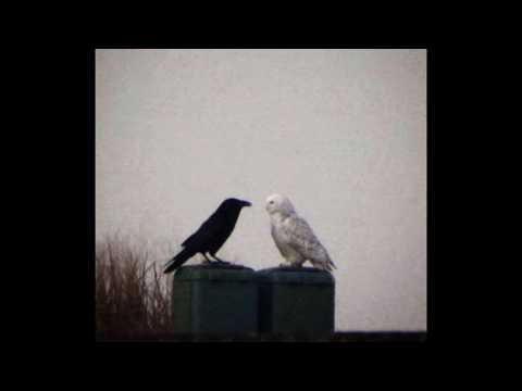 [FREE] Drake Type Beat - "CROSSED PATHS FOR A REASON"