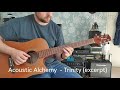 Acoustic Alchemy  - Trinity (excerpt) - Guitar Cover