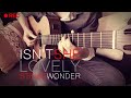 Isn't she lovely - stevie Wonder - acoustic guitar cover + chords - tuto guitare