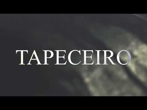 Stenio Marcius - Tapeceiro