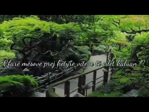 Iliri demiri  keshilla te arta