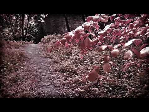 Video thumbnail for Return to the Meadow