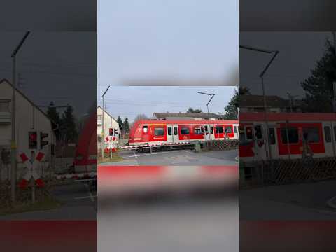 S3 in Doppeltraktion auf dem Weg nach Bad Soden #trainspotting #train #railway #db #sbahn