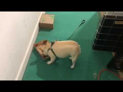 5/07/18, Della search 02