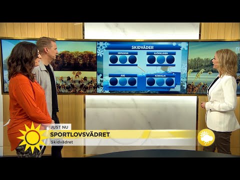 Sportlovsväder – Se upp för lavinfaran i Svenska fjällen! - Nyheterna (TV4)